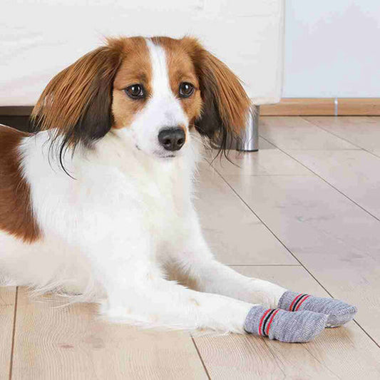 Socks Trixie Grey S/M Dog-5