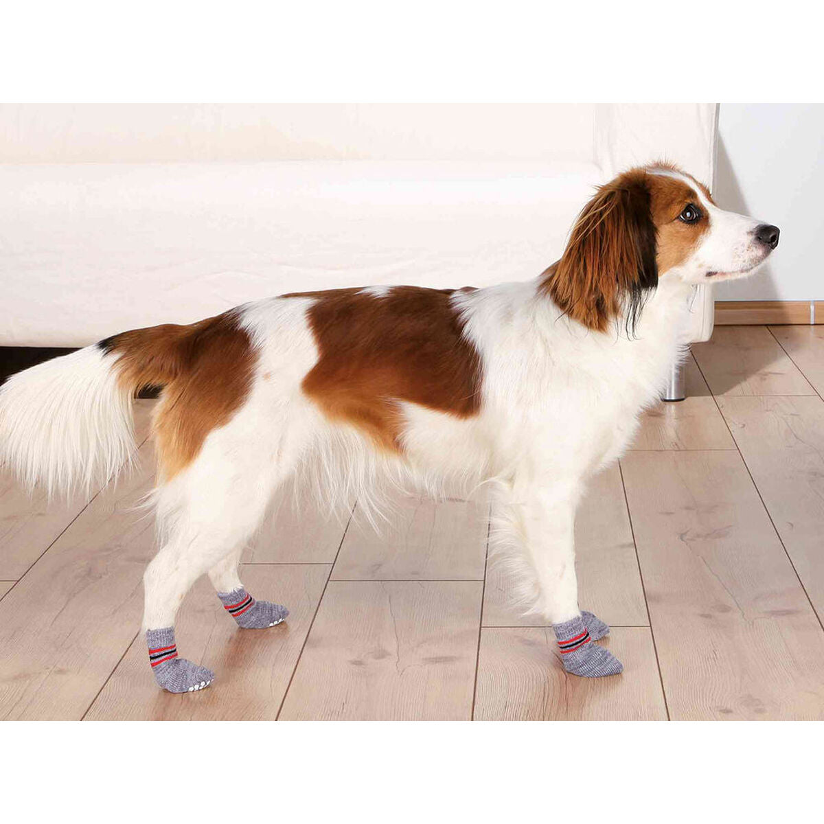 Socks Trixie Grey S/M Dog-2