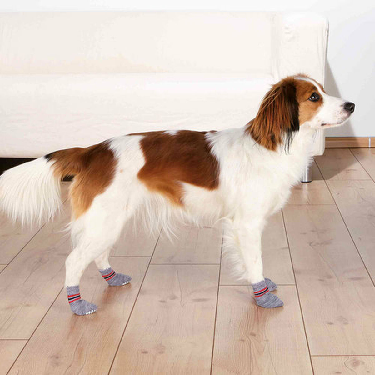 Socks Trixie Grey S/M Dog-1